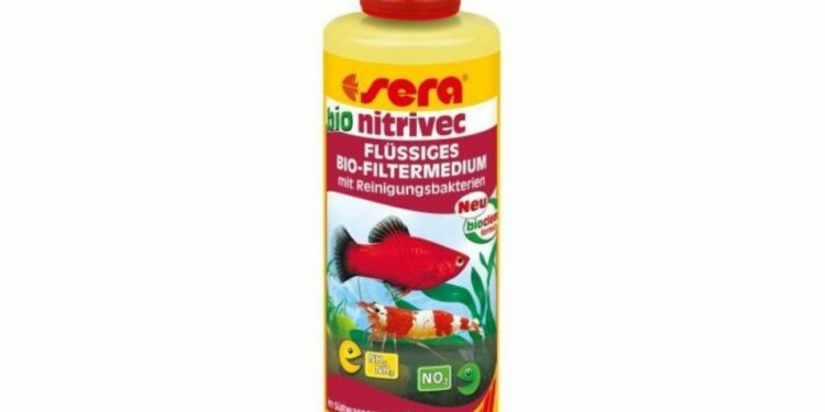 Comment faire baisser le nitrite dans un aquarium ?