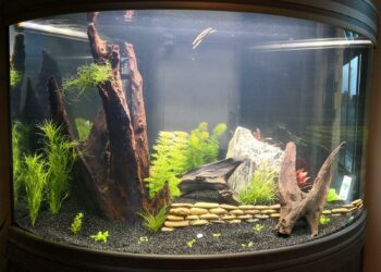 Comment faire baisser le taux de NO3 ?