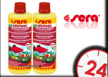 Comment faire baisser le taux de nitrite dans un aquarium ?