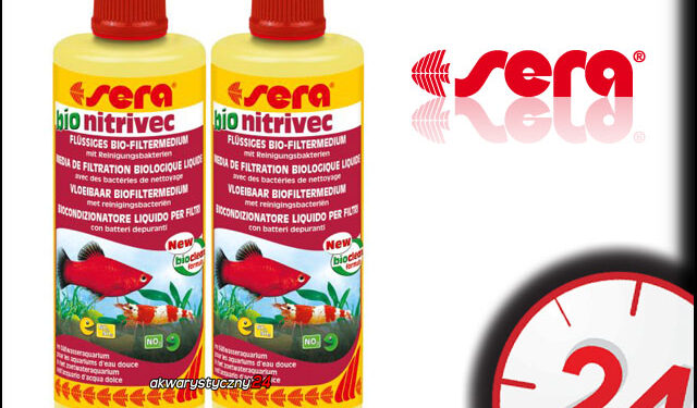 Comment faire baisser le taux de nitrite dans un aquarium ?