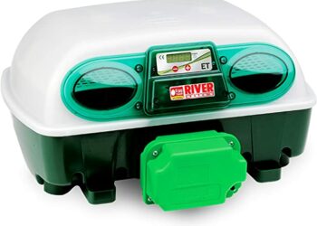 Comment faire baisser le taux d'humidité dans une couveuse ?