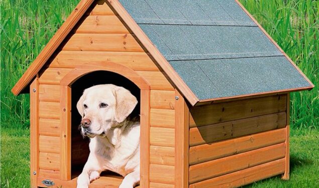 Comment faire comprendre à son chien d'aller dans sa niche ?