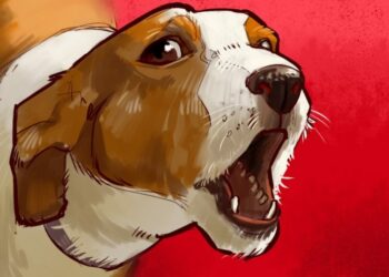 Comment faire comprendre à un chien qu'il a fait une bêtise ?