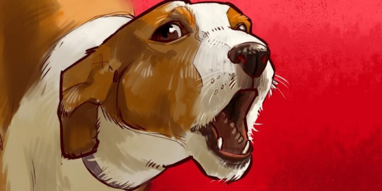 Comment faire comprendre à un chien qu'il a fait une bêtise ?