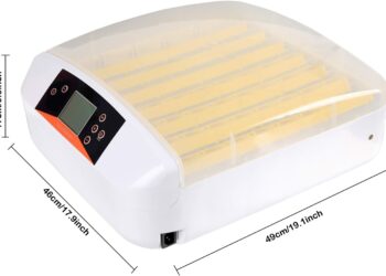 Comment faire couver des œufs de cailles en couveuse ?