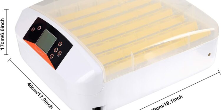 Comment faire couver des œufs de cailles en couveuse ?