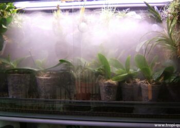 Comment faire de l'humidité ?