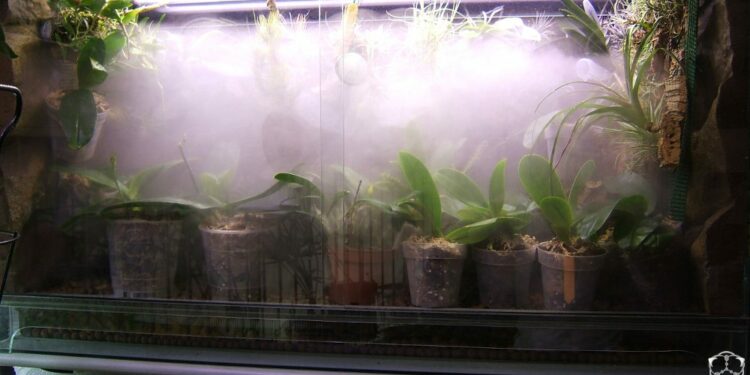 Comment faire de l'humidité ?