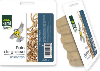 Comment faire des boules de graisse pour les oiseaux de la nature ?