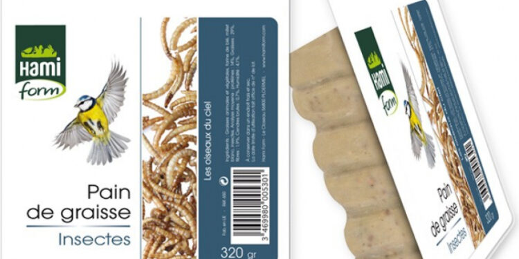 Comment faire des boules de graisse pour les oiseaux de la nature ?