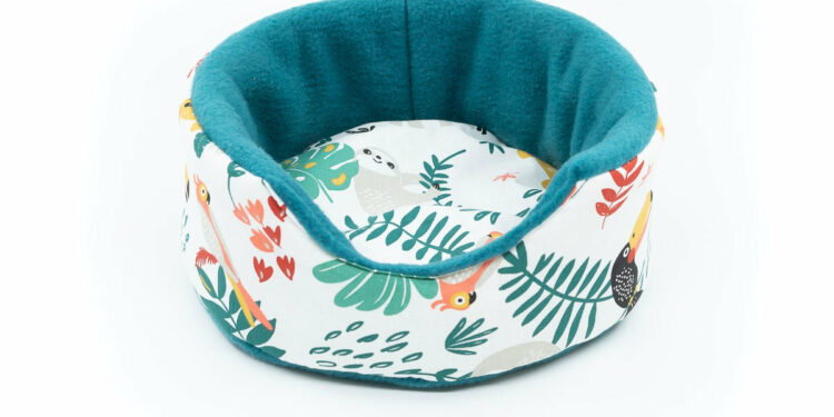 Comment faire des jeux pour cochon d'Inde ?