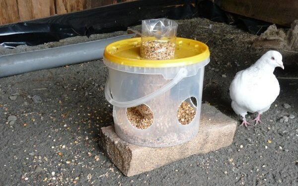 Comment faire des mangeoires avec des bouteilles en plastique ?