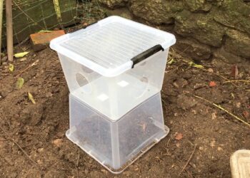 Comment faire fuir les oiseaux du poulailler ?