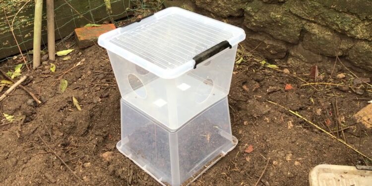 Comment faire fuir les oiseaux du poulailler ?