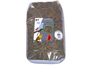 Comment faire germer des graines pour les oiseaux ?