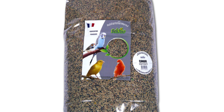 Comment faire germer des graines pour les oiseaux ?