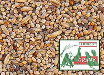 Comment faire germer des graines pour perroquet ?