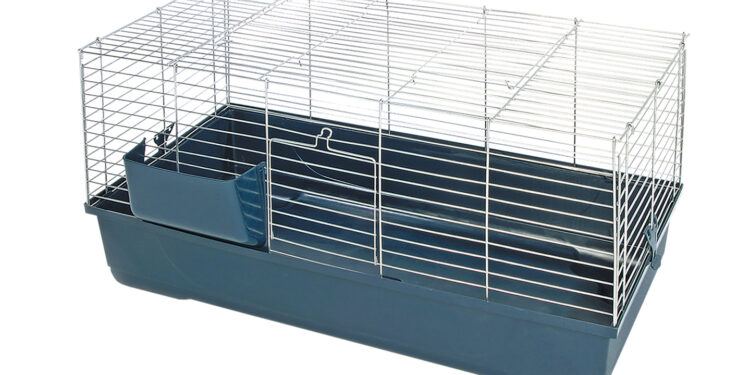 Comment faire la litière d'un lapin nain ?