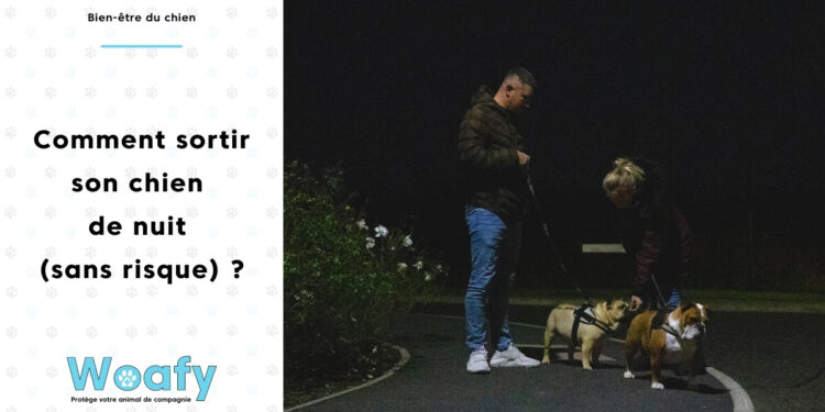 Comment faire la première nuit avec un chiot ?