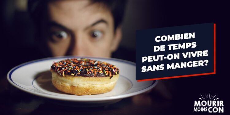 Comment faire manger mon combattant ?