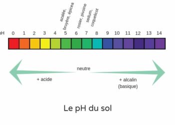 Comment faire monter le pH de l'eau naturellement ?