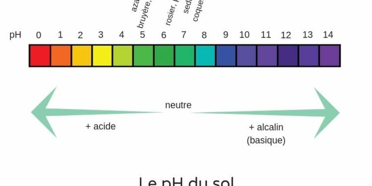 Comment faire monter le pH de l'eau naturellement ?