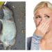 Comment faire partir l'odeur d'un animal mort ?