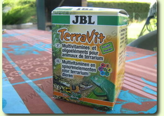 Comment faire plaisir à une tortue ?