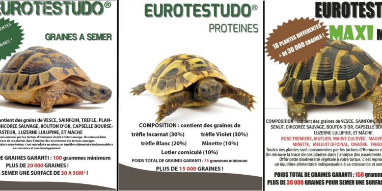 Comment faire plaisir à une tortue ?