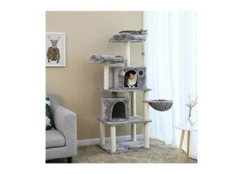 Comment faire pour attirer un chat sur un griffoir ?