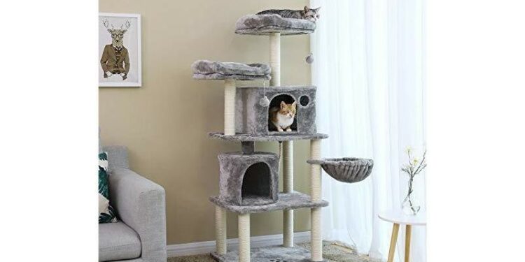 Comment faire pour attirer un chat sur un griffoir ?