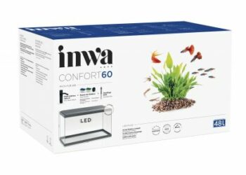 Comment faire pour avoir une eau claire dans un aquarium ?