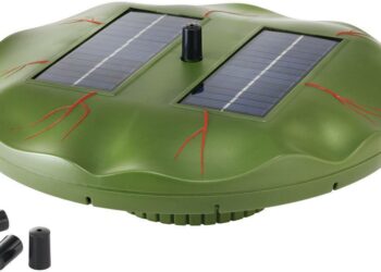 Comment faire pour avoir une eau claire dans un aquarium ?