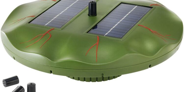 Comment faire pour avoir une eau claire dans un aquarium ?