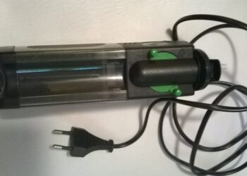 Comment faire pour avoir une eau claire dans un aquarium ?