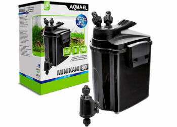 Comment faire pour avoir une eau claire dans un aquarium ?