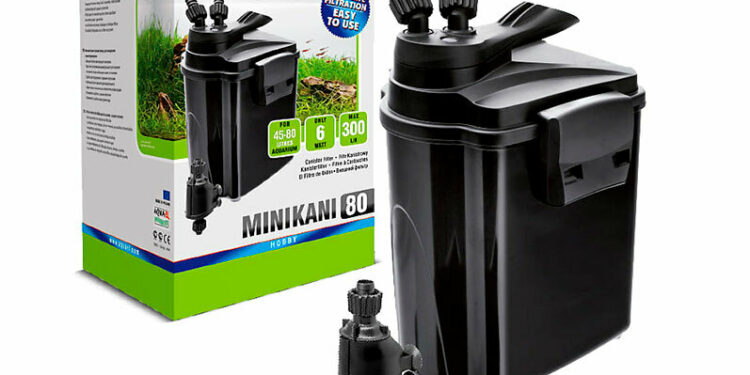 Comment faire pour avoir une eau claire dans un aquarium ?