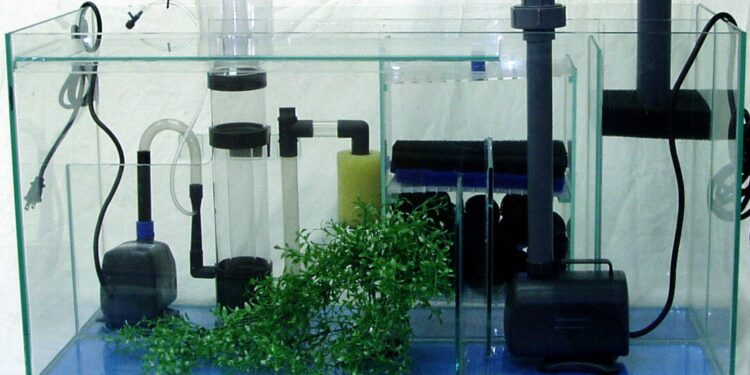 Comment faire pour avoir une eau claire dans un aquarium ?