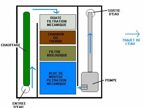 Comment faire pour avoir une eau claire dans un aquarium ?