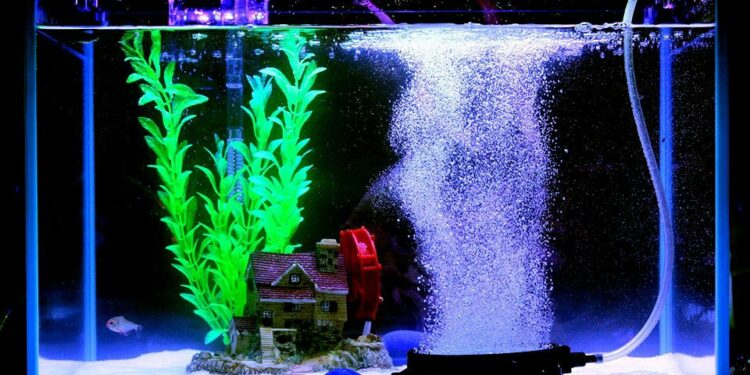 Comment faire pour garder l'eau de l'aquarium propre ?