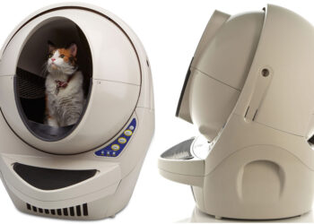 Comment faire pour que la litière reste propre ?