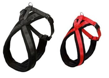 Comment faire pour que le chien ne tire pas ?