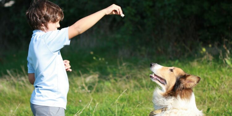 Comment faire pour que le chien ne tire pas sur la laisse ?