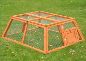 Comment faire pour que le lapin ne creuse pas ?