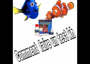 Comment faire pour que l'eau de l'aquarium reste propre ?