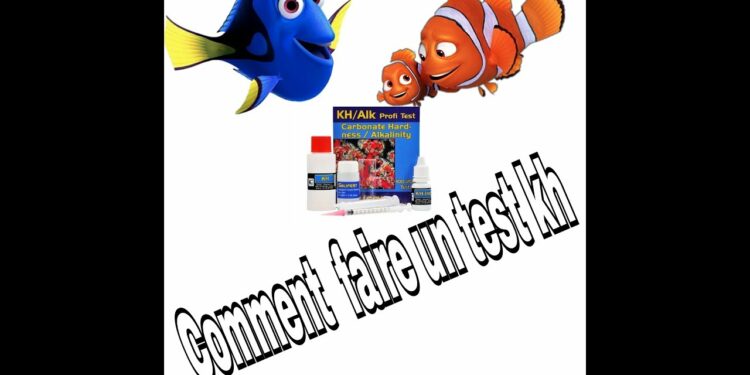 Comment faire pour que l'eau de l'aquarium reste propre ?