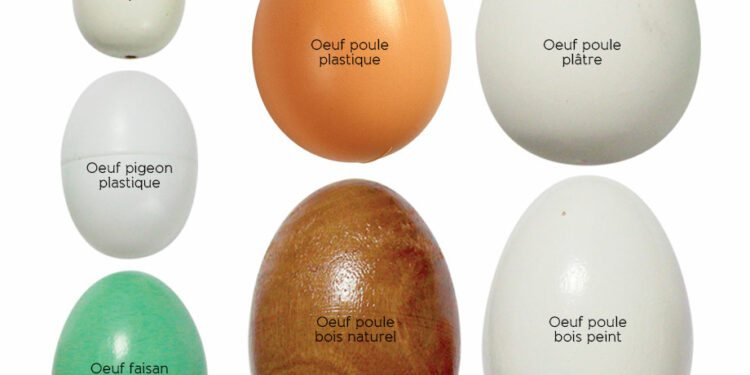 Comment faire pour que les poules pondent au même endroit ?