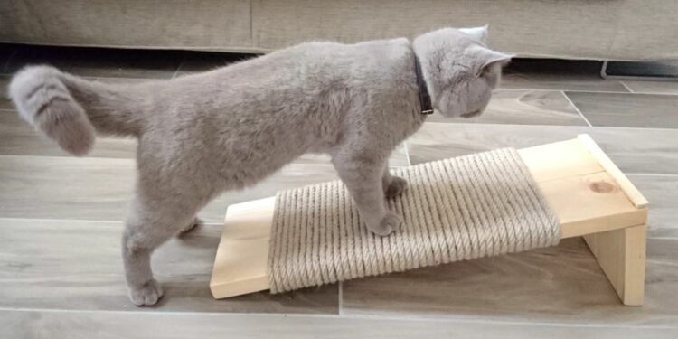 Comment faire pour que mon chat fasse ses griffes sur l'arbre à chat ?