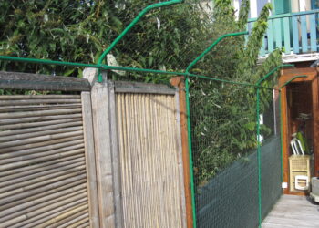 Comment faire pour que mon chat ne se fasse pas écraser ?