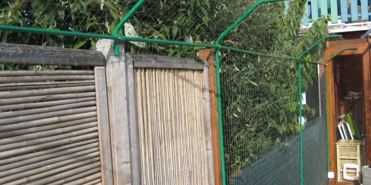 Comment faire pour que mon chat ne se fasse pas écraser ?